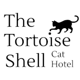The Tortoise Shell